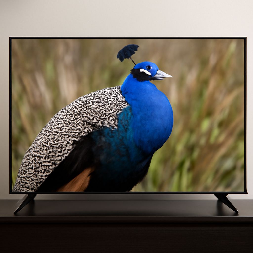Various leading TV brands available for purchase